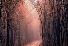 不来梅新援登场首秀，展现实力