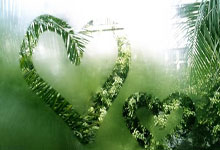 贵州恒丰对决大阪钢巴，赛场之上谁能称王？