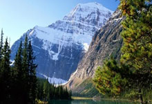 老鹰队斯廷主力误伤缺阵两周