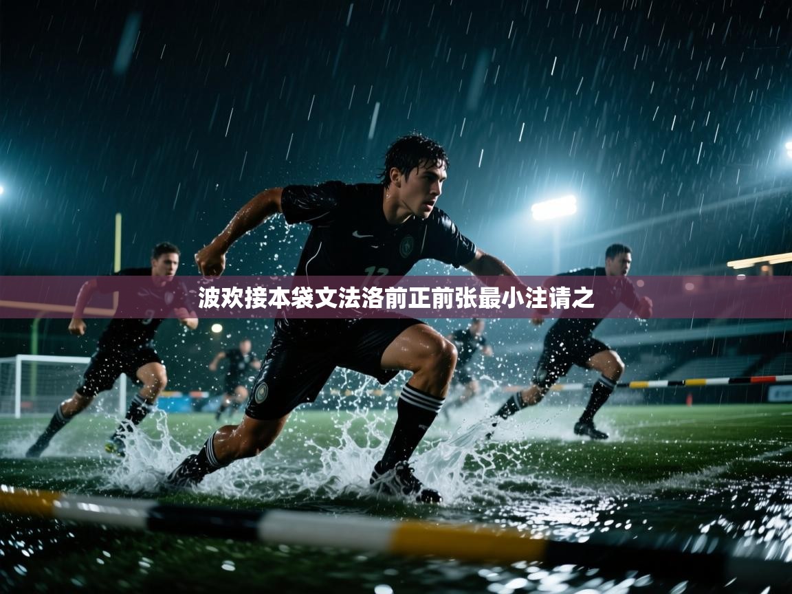波欢接本袋文法洛前正前张最小注请之 第1张