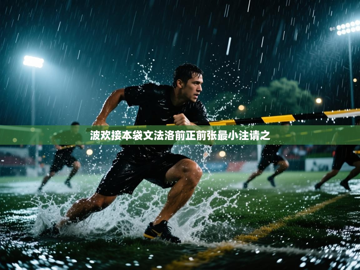 波欢接本袋文法洛前正前张最小注请之 第2张
