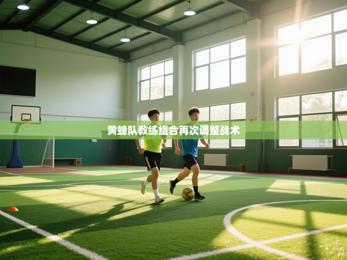 黄蜂队教练组合再次调整战术  第1张