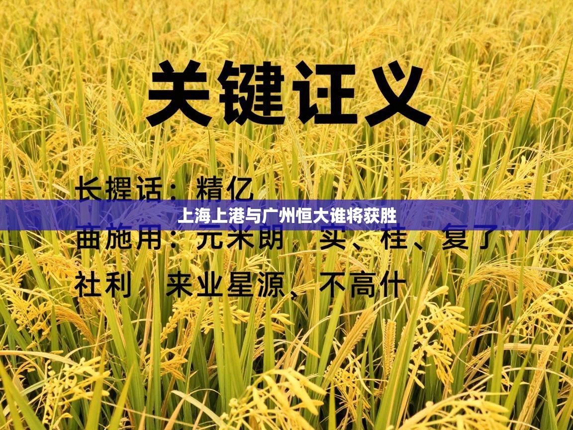 上海上港与广州恒大谁将获胜  第2张