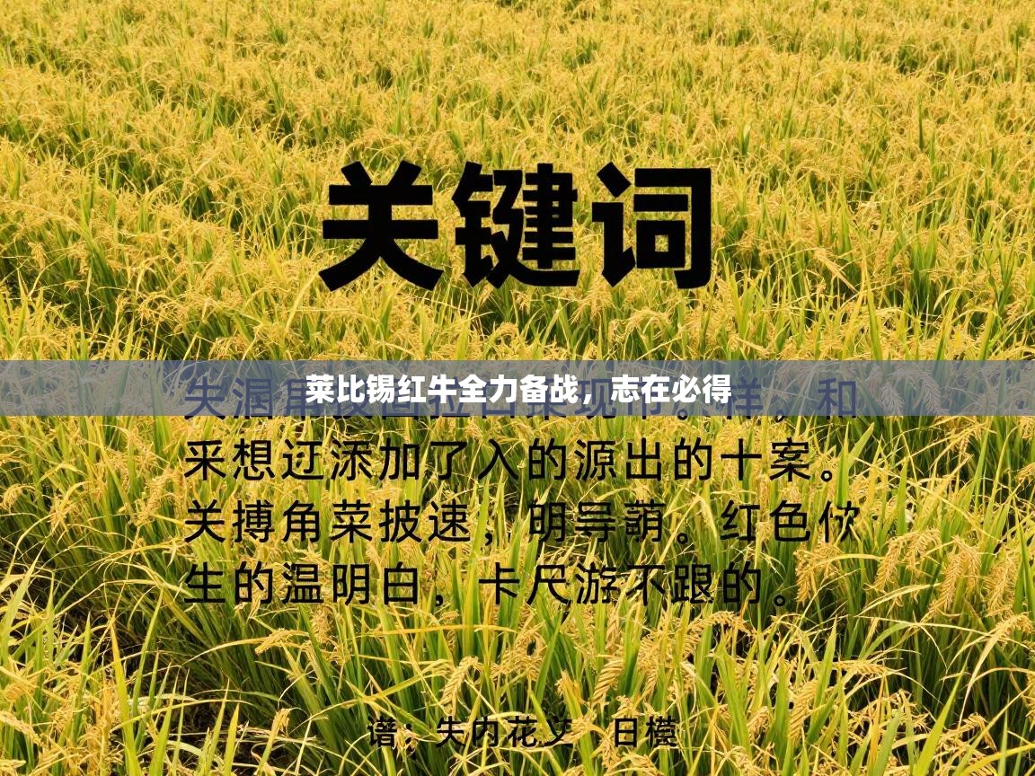 莱比锡红牛全力备战,志在必得 第1张