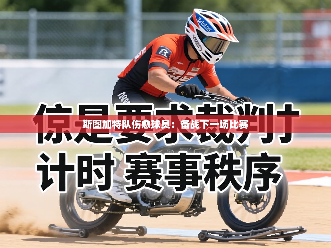 斯图加特队伤愈球员：备战下一场比赛  第1张