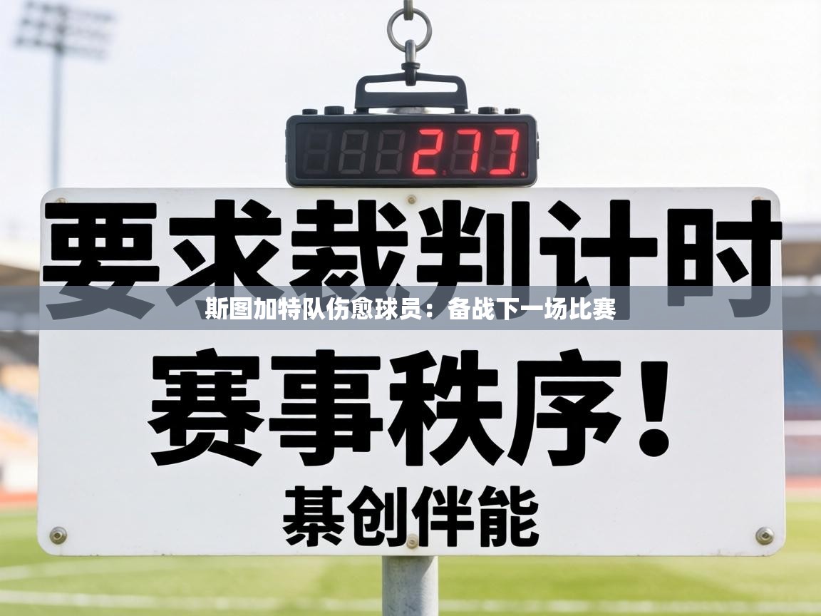 斯图加特队伤愈球员：备战下一场比赛  第2张